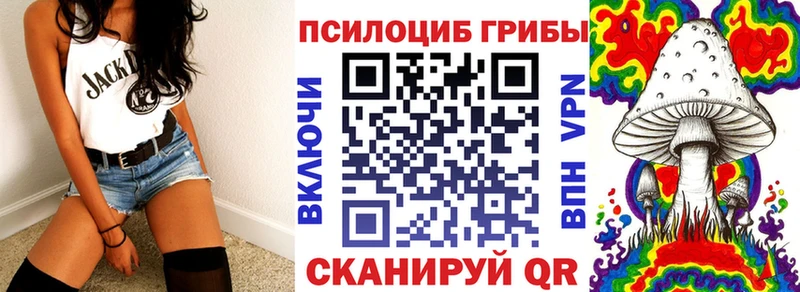 Купить где  Тихорецк  Псилоцибиновые грибы Psilocybe 
